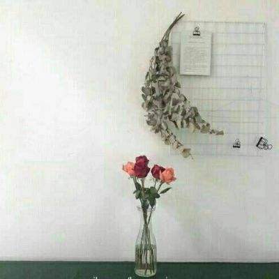 封仙域bt版下载